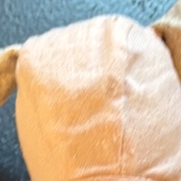 Alimrose Bunny - Picture 8 of 8